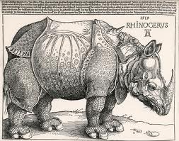 Engraving of a rhino by Albrecht Durer